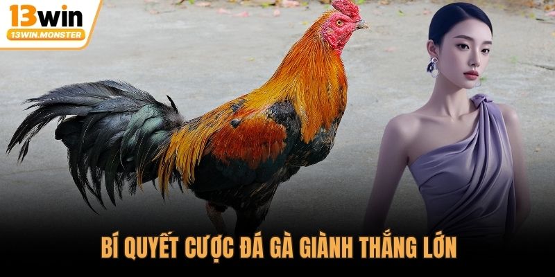 Bí quyết cược đá gà giành thắng lớn