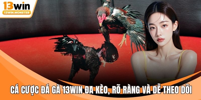 Cá Cược Đá Gà 13WIN Đa Kèo, Rõ Ràng Và Dễ Theo Dõi