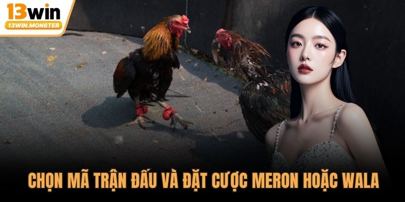 Chọn mã trận đấu và đặt cược MERON hoặc WALA