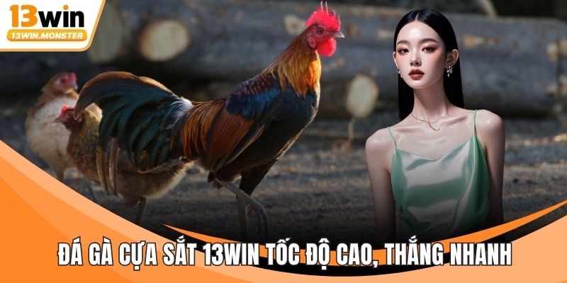 Đá Gà Cựa Sắt 13WIN Tốc Độ Cao, Thắng Nhanh Trong 1 Phút