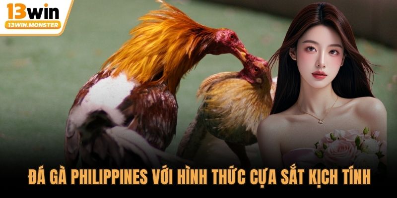 Đá gà Philippines với hình thức cựa sắt kịch tính