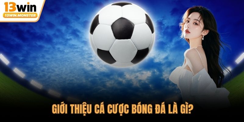 Giới thiệu cá cược bóng đá là gì?