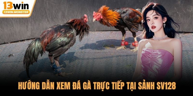 Hướng dẫn xem đá gà trực tiếp tại sảnh SV128