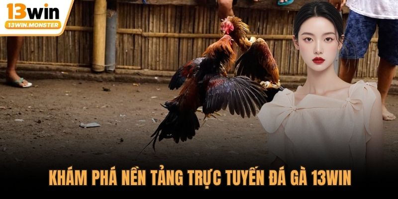 Khám phá nền tảng trực tuyến đá gà 13WIN