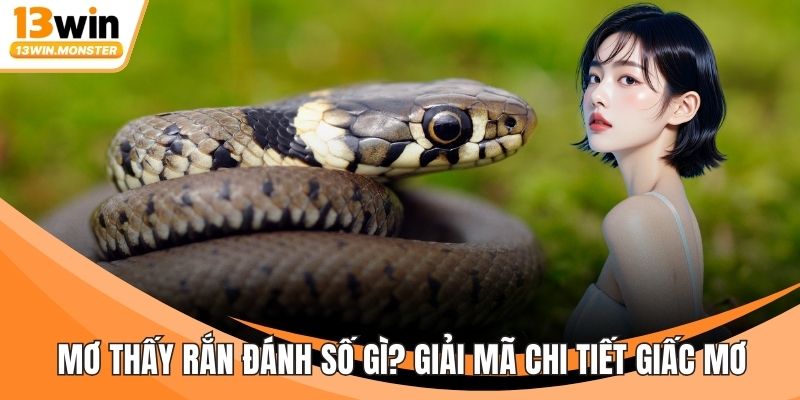 Mơ Thấy Rắn Đánh Số Gì? Giải Mã Chi Tiết Giấc Mơ Chuẩn