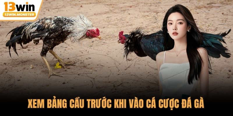 Xem bảng cầu trước khi vào cá cược đá gà 